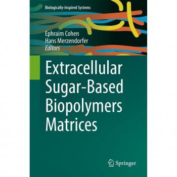 Extracellular Sugar-Based Biopolymers Matrices