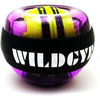 Counting Gyro Arm Strengthener