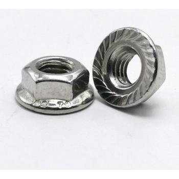 304 Stainless Steel Hex Nut Set (Flange, M3 to M16, 1-50 PCS)