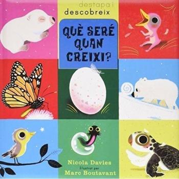 ¿Que son las Cookies?