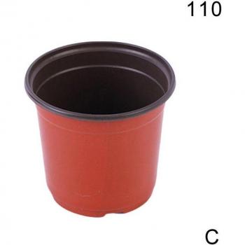 Pépinière Compacte
