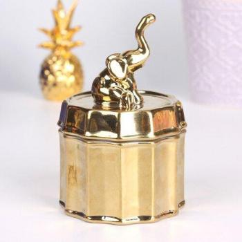 Gold-Plated Pet Ashes Keepsake Box