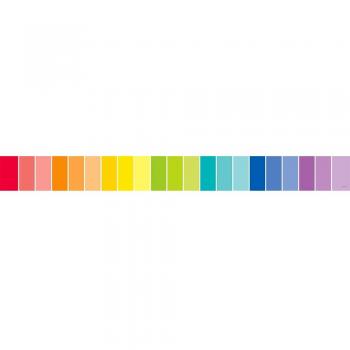 Colorful Palette Display Rim