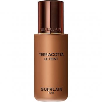 Terracotta Le Teint
