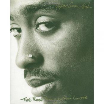 The Rose That Grew From Concrete (Hardcover)