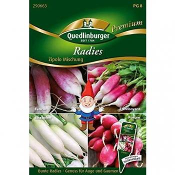 Radieschen Zipolo Mischung