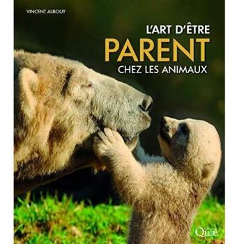 L'art D'être Parent Chez Les Animaux
