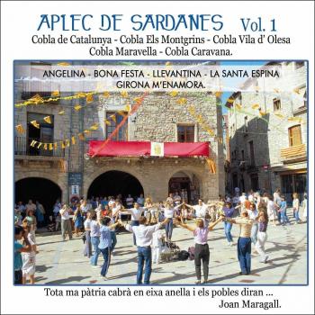 Aplec de sardanes Vol. 1 (CD).