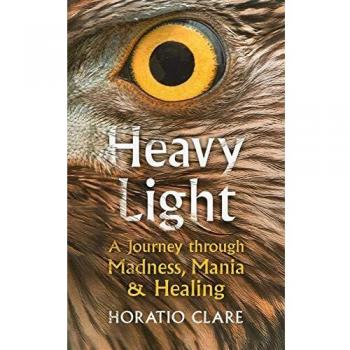 Heavy Light