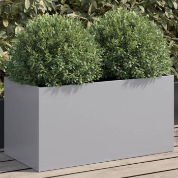 AcierGal Prolenta 62×30×29 cm – Argenté
