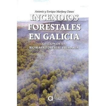 INCENDIOS FORESTALES EN GALICIA