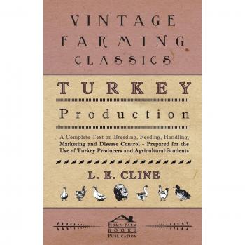 Turkey Production