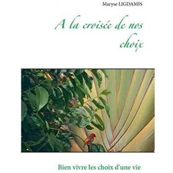 A la croisée de nos choix: Bien vivre les choix d'une vie