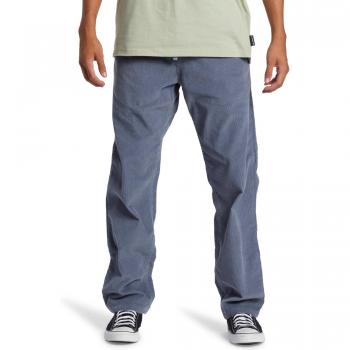 Ropa Masculina Pantalones DNA Beach Gris