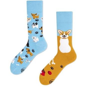 Socquettes Many Mornings Corgi Enjoué Multicolore