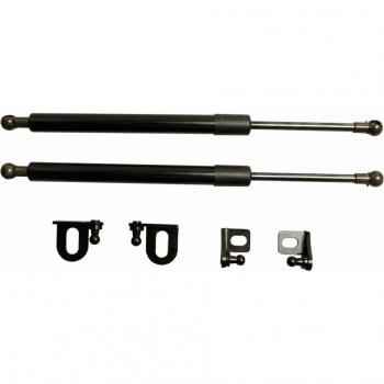 Struts de gaz pour capot avant Toyota Wish (AE20)