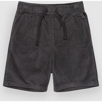 Pantalones Cortos de Niños Quiksilver Taxer