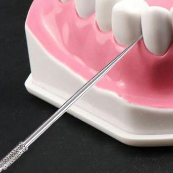 Reusable Titanium Toothpick