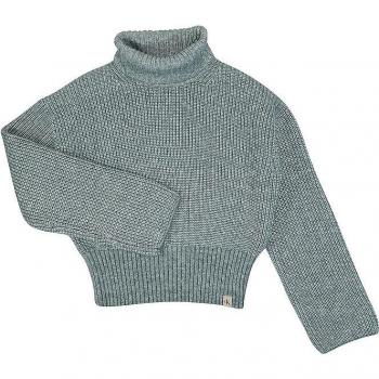 Calvin Klein Jeans Mädchen Pullover mit Rollkragen, Farbe: Grün, Größe 152