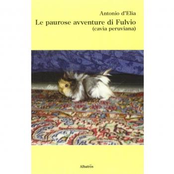 Le paurose avventure di Fulvio