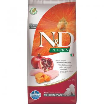 Natural & Delicious Pumpkin Puppy Medium & Maxi