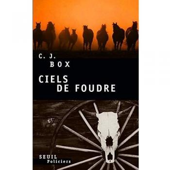 Ciels de foudre
