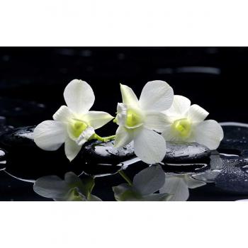 Panel Zen de Orquídeas con Guijarros Naturales