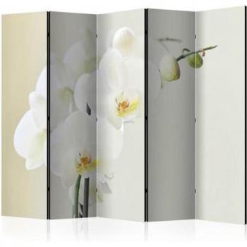 Separatore d'Atmosfera White Orchid II Artgeist