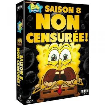 Coffret intégral de la Saison 8