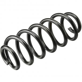 Kilen 63701 High-Strength Rear Axle Coil Springs
