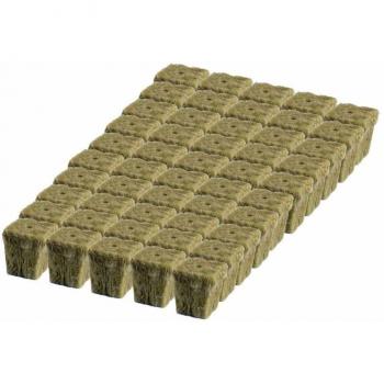 50pcs Rockwool Starter Cubes