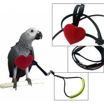 Anti-Bite Bird Training Rope