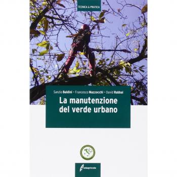 La manutenzione del verde urbano. Ediz. illustrata