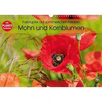 Farbtupfer auf sommerlichen Feldern