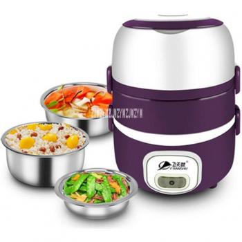 220V Electric Lunch Box YSC-905