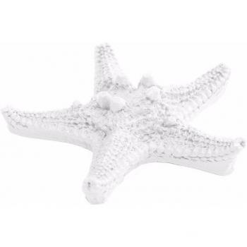 5-Piece Tropical Marine Animal Decor