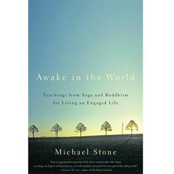 Michael Stone Awake In The World: Teachings From Yoga And Buddhism For Living An Engaged Life