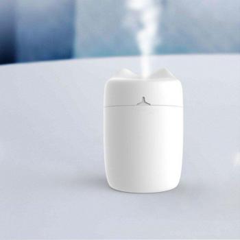 Mini USB Essential Oil Diffuser