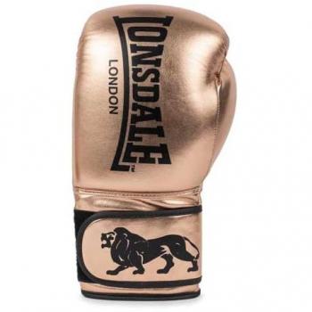 Gants de boxe Lonsdale Dinero Pro