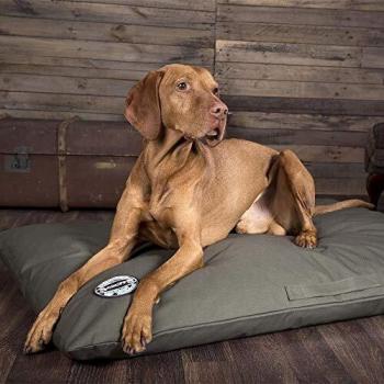 Scruffs Expedition Memory Foam Orthopaedic Pillow (Large)