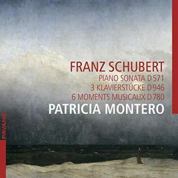 Schubert: Sonate d'éternité – D 571