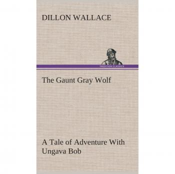 The Gaunt Gray Wolf A Tale of Adventure With Ungava Bob