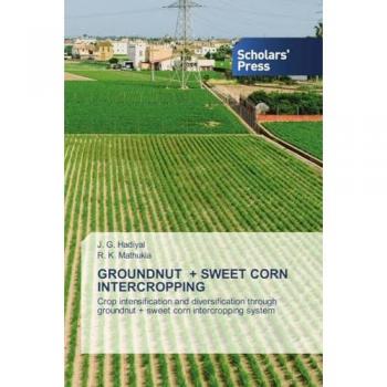 GROUNDNUT + SWEET CORN INTERCROPPING: Crop intensification and diversification through groundnut + sweet corn intercropping system