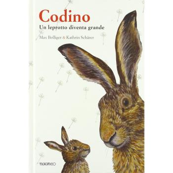 Codino. Un leprotto diventa grande