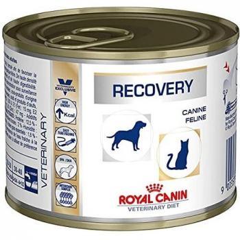 Royal Canin Recovery Dieta para perros y gatos