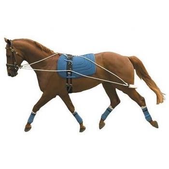 Kincade Lunge Board Set