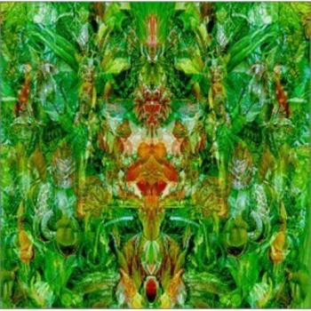 Bill Laswell Emerald Aether