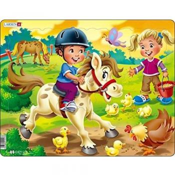 Larsen Puzzle
