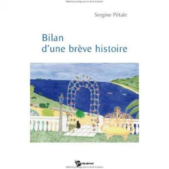Bilan d'une Breve Histoire