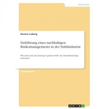 Einführung eines nachhaltigen Risikomanagements in der Stahlindustrie: Wie kann sich das Konzept grüner Stahl als zukunftsträchtig erweisen?